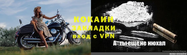 spice Аркадак